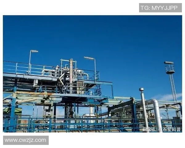 独家深度解析LNG市场竞争力及其未来发展潜力分析